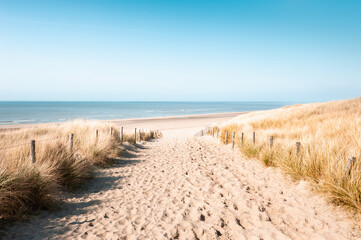 Sandy dunes on the beach in Noordwijk, Netherlands. Beautiful seascape in sunny day