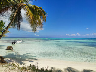 Paradise island, beach and palm trees