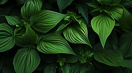 TEXTURE WALLPAPER OF TROPICAL GREEN LEAVES, legal AI