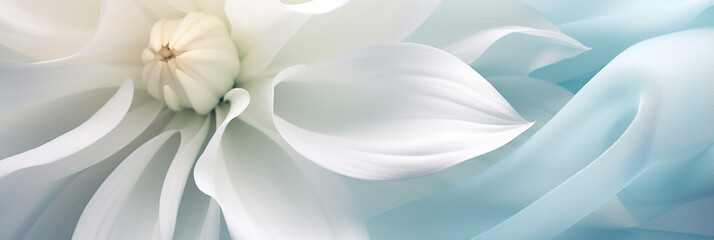 BEAUTIFUL WALLPAPER WITH WHITE AND BLUE FLOWERS CLOSE-UP, SOFT GENTLE LIGHTING, HORIZONTAL IMAGE, legal AI