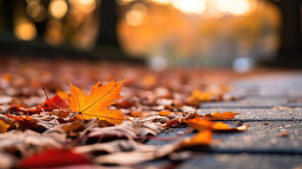 Warm Hues of Autumn: Photograph of Crisp Fall Leaves on Stone Path, Beautiful Bokeh Effect, Shallow Depth of Field, Serene Park Setting