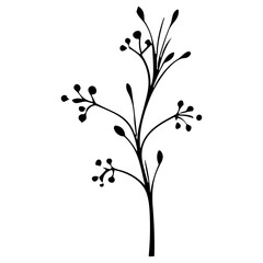 plants, leaves. Hand drawn decorative elements.
