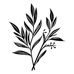 plants, leaves. Hand drawn decorative elements.

