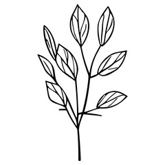 plants, leaves. Hand drawn decorative elements.
