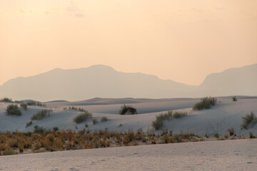 Isolated Landscape in New Mexico's White Sands National Park