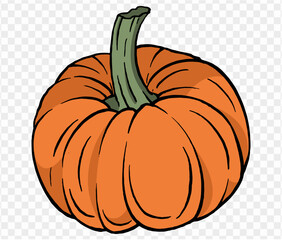 Pumpkin hand drawing brush style isolated on transparent PNG. Perfect for halloween and Thanksgiving backgrounds.Vector Illustration