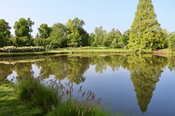 The peaceful lake in the country on a sunny day.