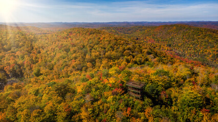 Observation tower in middle of forest during autumn, Ripon, Quebec, Canada