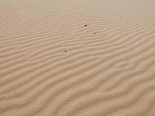 light fine sand as background