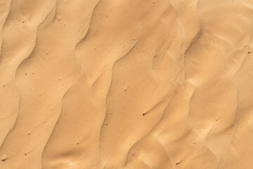 The desert Sahara sand texture in the summer sun.
