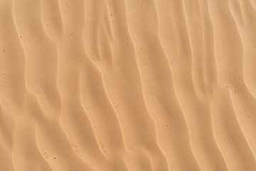 The desert Sahara sand texture in the summer sun.