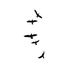 illustration silhouette of birds in flight isolated white bcakground