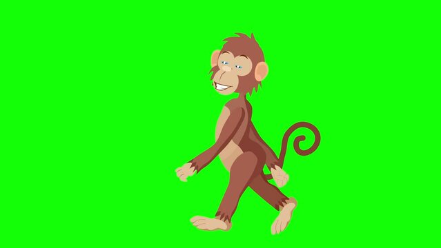 Cartoon funny  monkey walking animation green screen