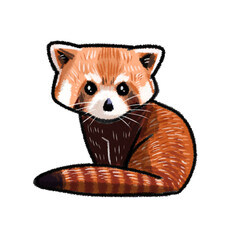 Red panda