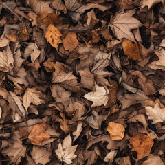 Dried autumn leaves repeating pattern - 657173642