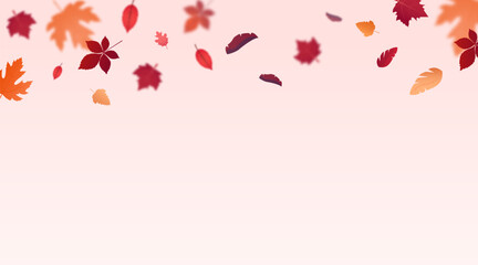 Vector design template with autumn leaves.
