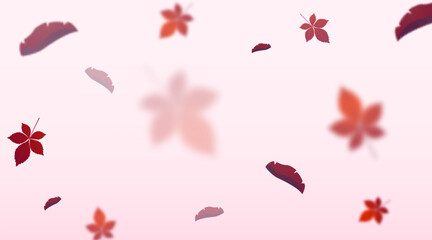 Autumn leaves background with blur effect. Vector illustration.