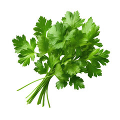 Fresh parsley herb isolated on transparent background - obrazy, fototapety, plakaty