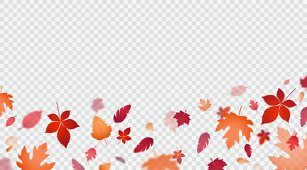 Vector design template with autumn leaves.