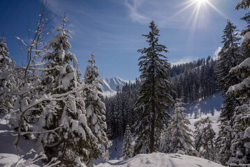 Winter scenery of the Western Tatra Mountains. Chocholowska glade area.