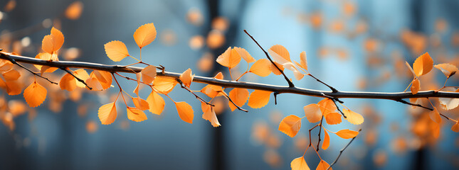 yellow autumn leaves are seen with birch branches, in the style of light cyan, bokeh, dark orange and light gray, vignetting, light sky-blue and light navy, 