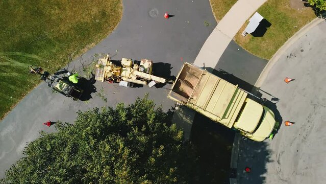 Aerial top view of Maintenance worker loading cut tree branches into the wood chipper machine for shredding