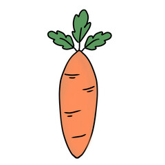 Carrot 