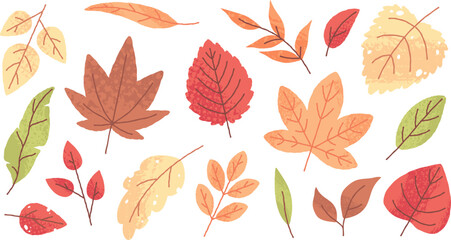 Fototapeta premium Аutumn leaves doodle, yellow and red leaf, fall season maple and oak falling leaves. Hand drawn autumnal foliage, dried botanical tree herbarium element vector set