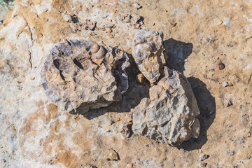 Unusual spherical shape of stones in the Kazakh steppe Mangistau, valley of balls in nature Torysh