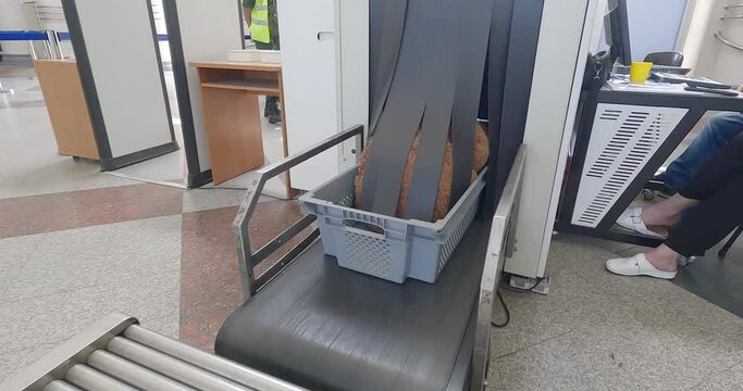 Airport Scan Checked Luggage. X-ray luggage screening machine. Teddy Bear Soft Toy