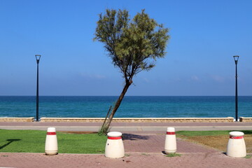 A row of pillars along the road for the safe passage of pedestrians along the sidewalk.