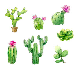 Watercolor set of cactus and succulents. Hand drawn illustration isolated o the white background