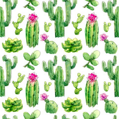 Seamless pattern of cactus and succulents. Hand-drawn illustration isolated on the white background