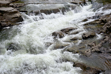 Raging stream of water in a mountain river