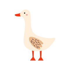 Funny goose isolated on white background. Domestic cartoon bird.