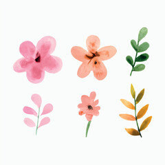 watercolor flowers on a white background

