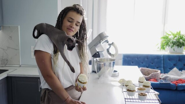 Brunette young woman with cat on shoulder tasting delicious homemade muffins with whipped cream, foxlike Sphinx cat eats dessert with owner in stylish kitchen at home