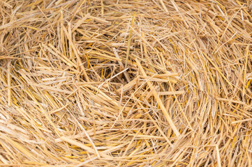 稲わら