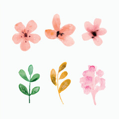 watercolor flowers on a white background

