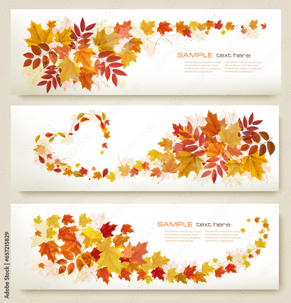 Poster three retro abstract autumn banners with colorful leaves and berries. vector