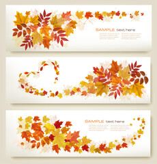 Three retro abstract autumn banners with colorful leaves and berries. Vector