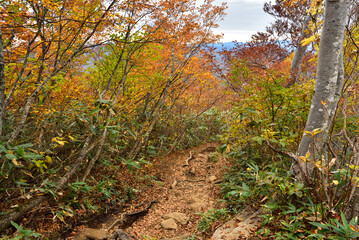 Climbing  Mount Makihata, Niigata, Japan