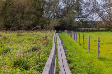 Fototapeta premium Wooden footpath on countryside on green nature landscape background. Sweden.