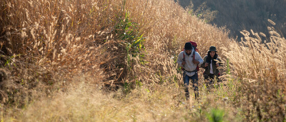 Obraz premium Travelers hiking with backpack traveling in forest wild and look around and explore while walking in nature wood. happy holiday vacation trip.