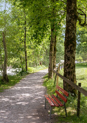 bench in the park
