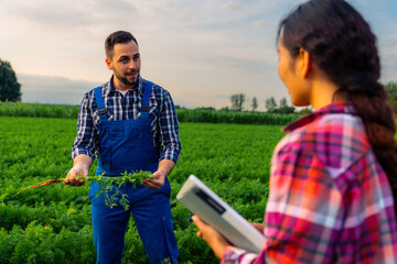 An experienced farmer proudly presents the thriving carrot crops to a young and aspiring female agricultural engineer, sharing knowledge and expertise in the field.