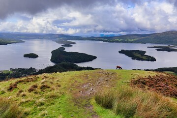 dog hiking conic hill in scotland with views of lock Lomond