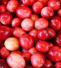 Cranberries are a group of evergreen dwarf shrubs or trailing vines in the subgenus Oxycoccus of the genus Vaccinium.