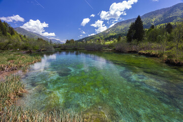 Spring landscape in Zelenci, Slovenia