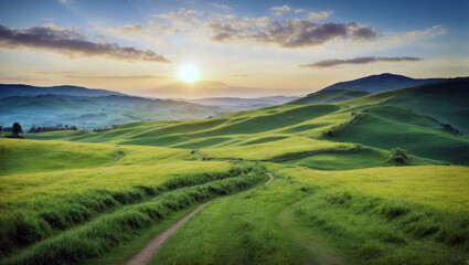 Fototapeta na wymiar Winding path through lush fields in hilly terrain, illuminated by dawn's light against a cloud-dappled blue sky